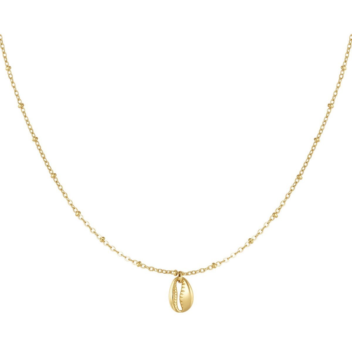 Goldene Edelstahlkette mit Muschelanhänger